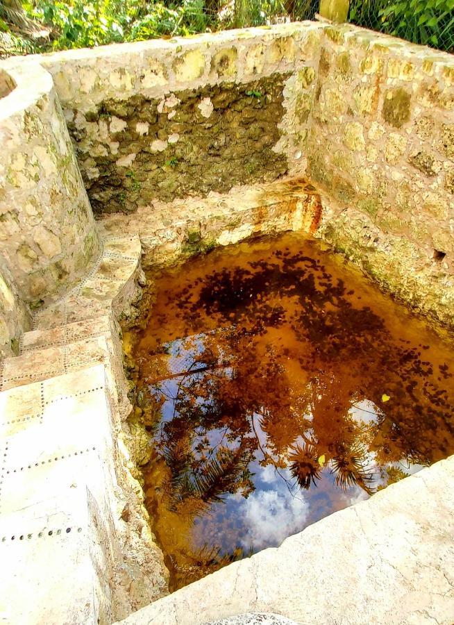 Вілла Mini Pini Bird Watching And Cenote Loft Косумель Екстер'єр фото