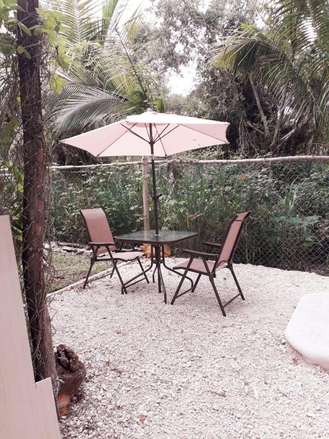Вілла Mini Pini Bird Watching And Cenote Loft Косумель Екстер'єр фото